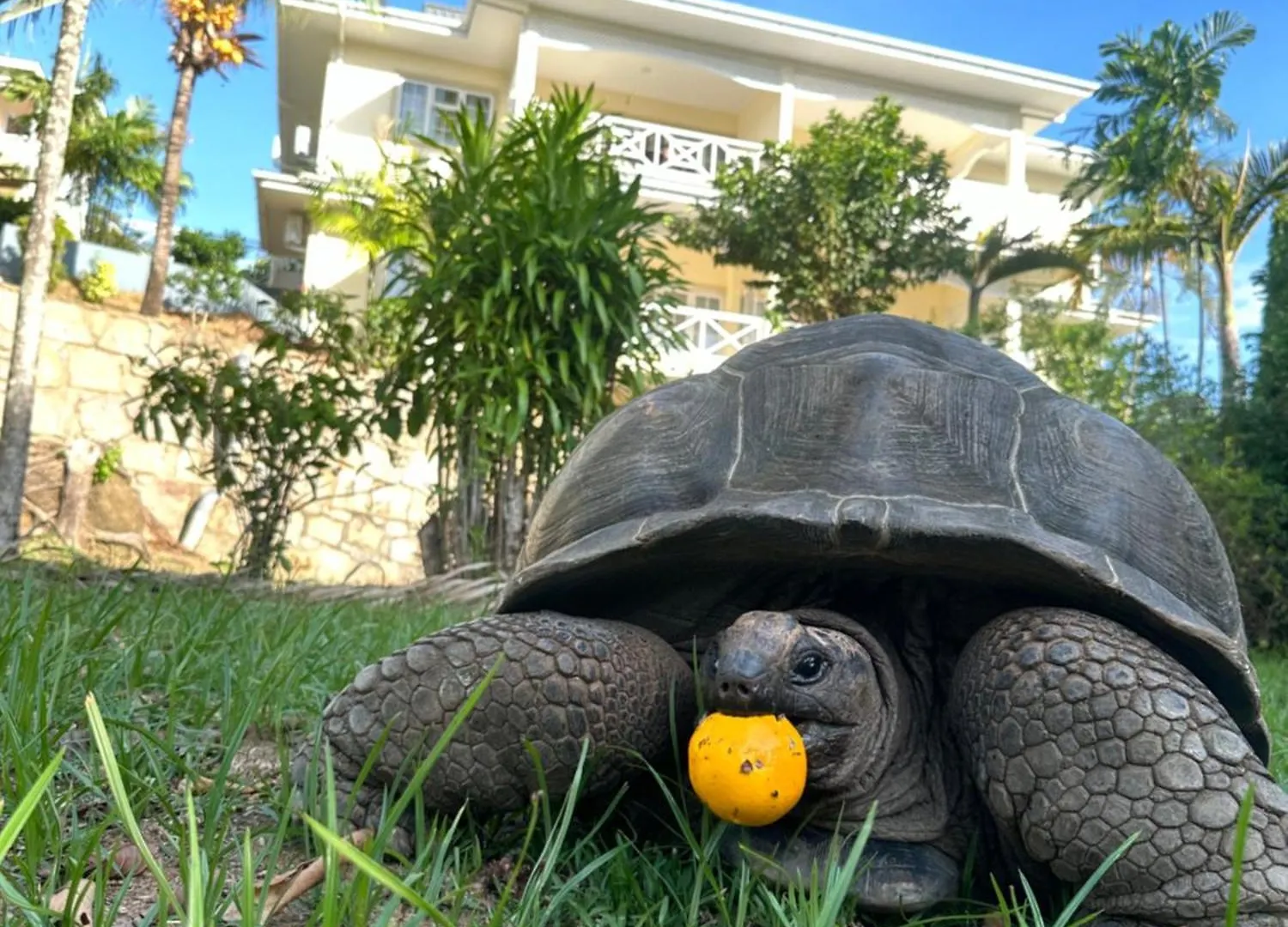 Spas Villas La Villa ヴィクトリア アパート